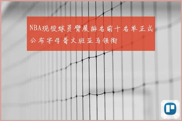 NBA现役球员臂展排名前十名单正式公布字母哥文班亚马领衔