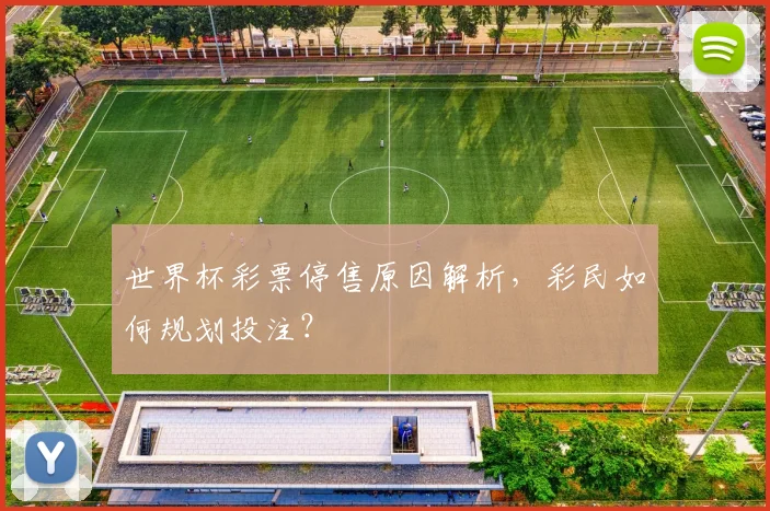 世界杯彩票停售原因解析，彩民如何规划投注？